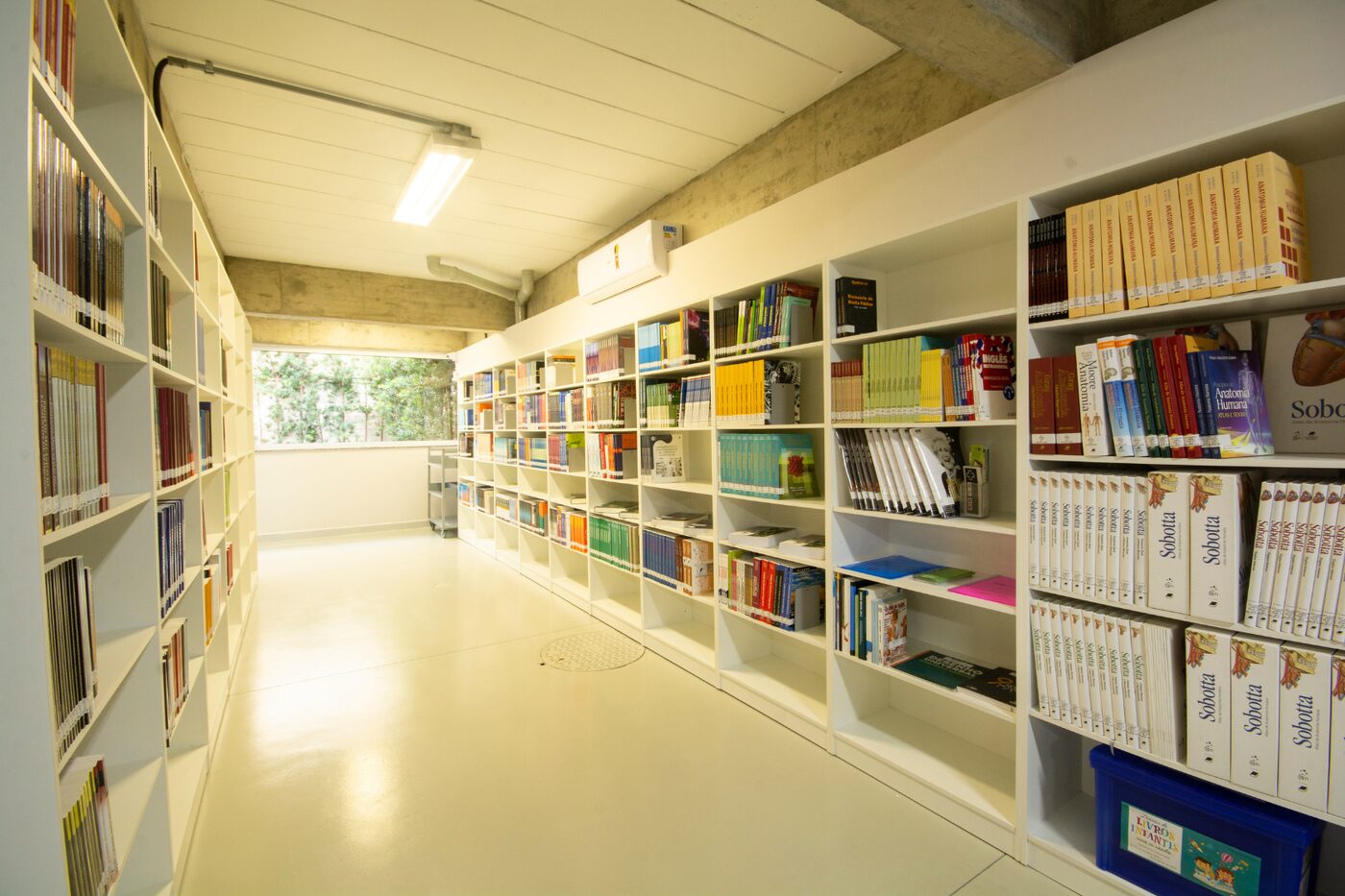 Biblioteca